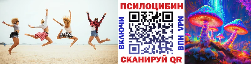 сколько стоит  Новороссийск  гидра как зайти  Галлюциногенные грибы GOLDEN TEACHER 