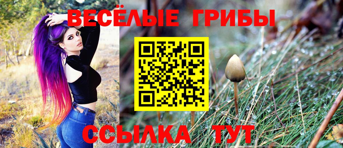 Псилоцибиновые грибы ЛСД  Псилоцибиновые грибы Magic Shrooms  Новороссийск  Вход с VPN 