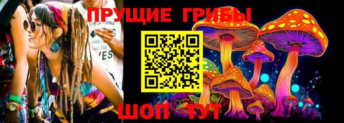 Псилоцибиновые грибы мицелий Новороссийск